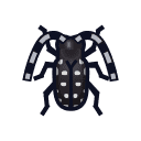 Citrus Long-Horned Beetle