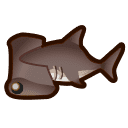 Hammerhead Shark