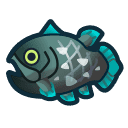 Coelacanth