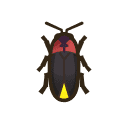 Firefly